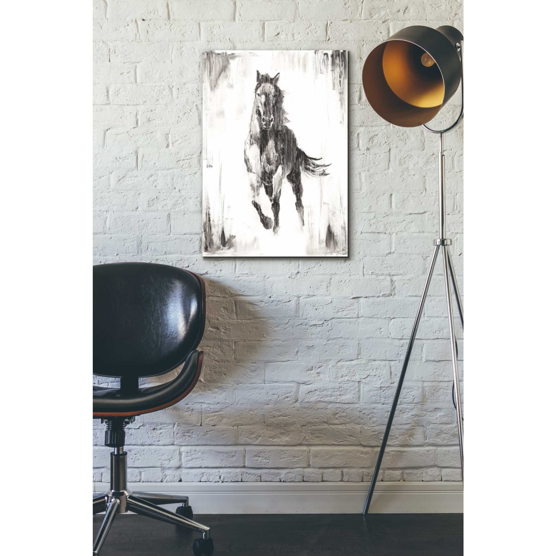 'Rustic Black Stallion II' by Ethan Harper Canvas Wall Art,18 x 26