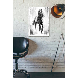 'Rustic Stallion I' by Ethan Harper Canvas Wall Art,18 x 26