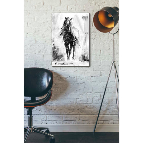 Image of 'Rustic Stallion II' by Ethan Harper Canvas Wall Art,18 x 26