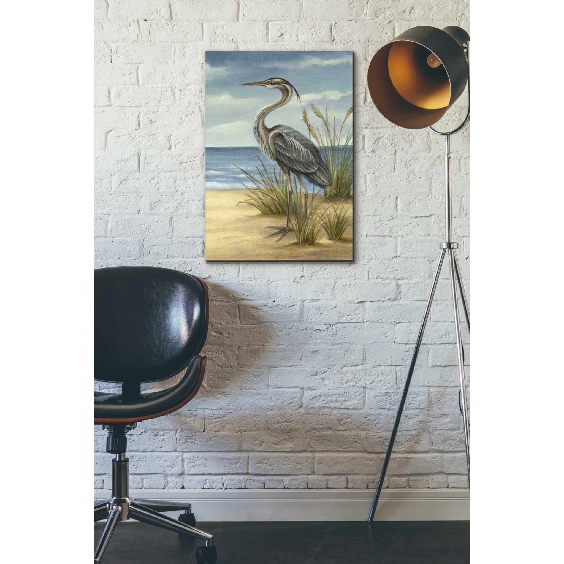 'Shore Bird II' by Ethan Harper Canvas Wall Art,18 x 26