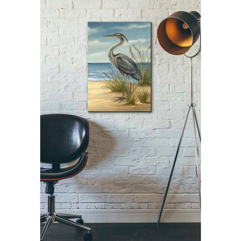 Image of 'Shore Bird II' by Ethan Harper Canvas Wall Art,18 x 26