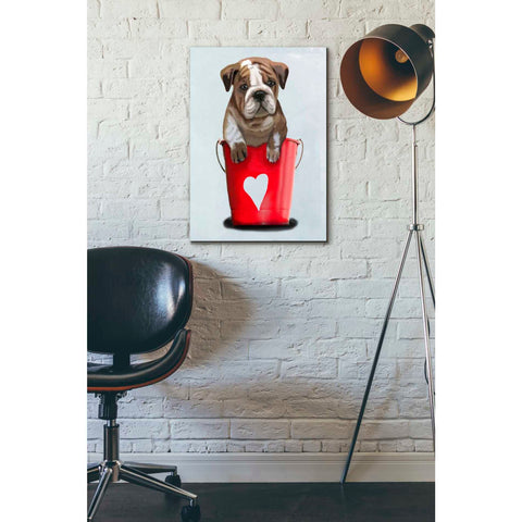 Image of 'Bulldog Bucket Of Love, Red' by Fab Funky Giclee Canvas Wall Art