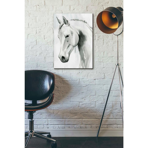 Image of 'Horse Whisper I' by Grace Popp Canvas Wall Art,18 x 26