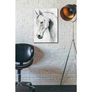 'Horse Whisper I' by Grace Popp Canvas Wall Art,18 x 26
