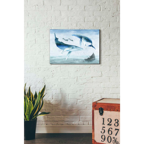 Image of 'Ocean Adventure Collection A' by Grace Popp Canvas Wall Art,26 x 18