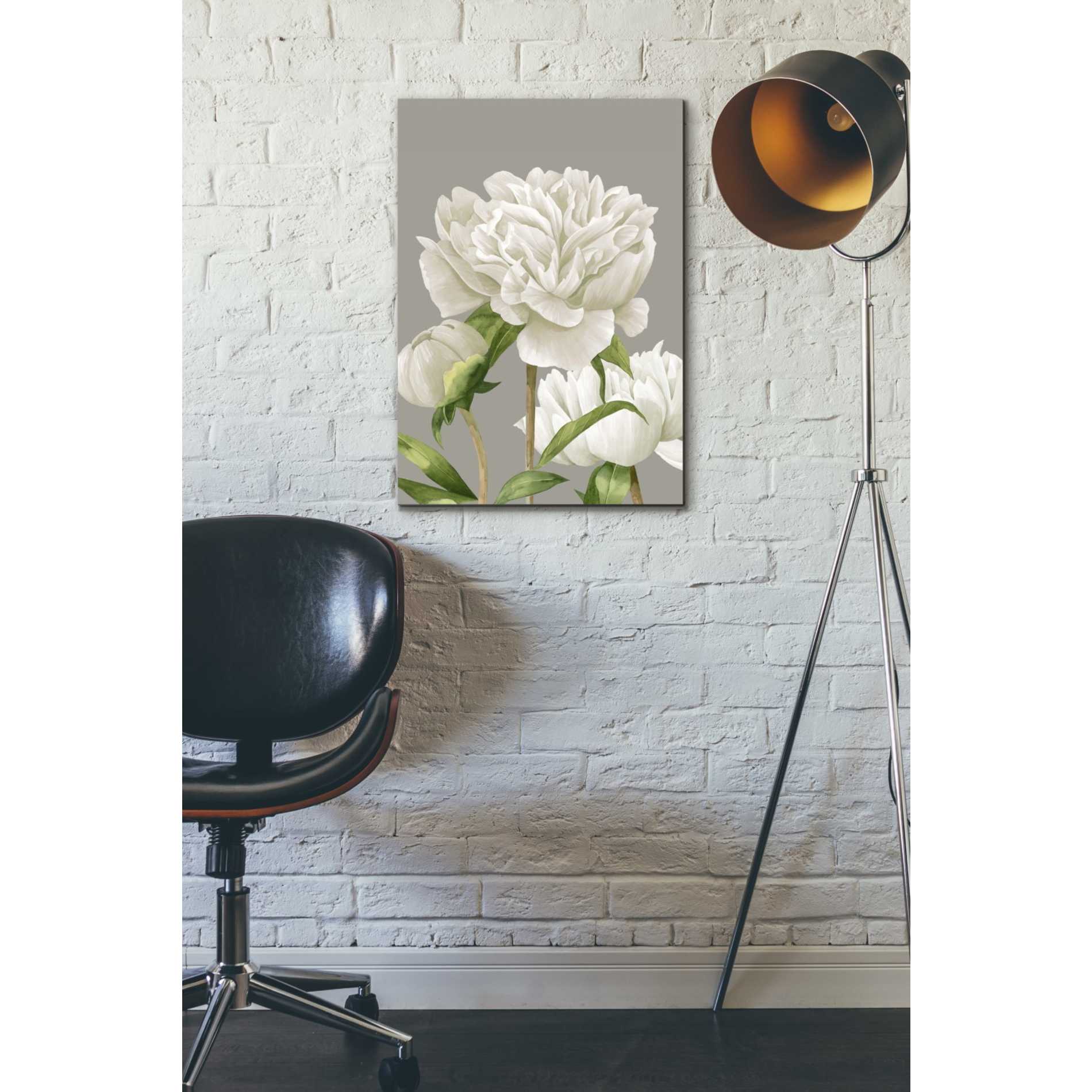 'White Peonies II' by Grace Popp Canvas Wall Art,18 x 26
