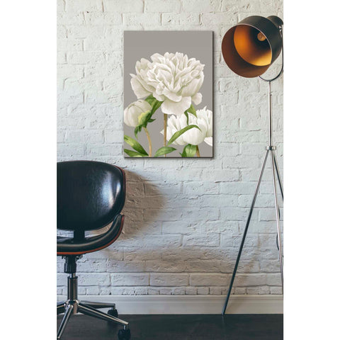 Image of 'White Peonies II' by Grace Popp Canvas Wall Art,18 x 26