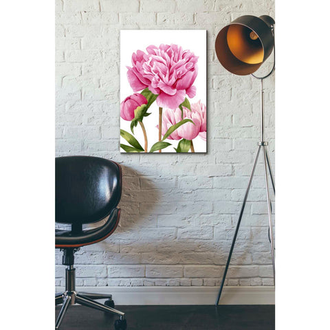 Image of 'Winsome Peonies II' by Grace Popp Canvas Wall Art,18 x 26