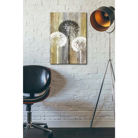 Image of 'Rustic Garden II' by James Burghardt Giclee Canvas Wall Art