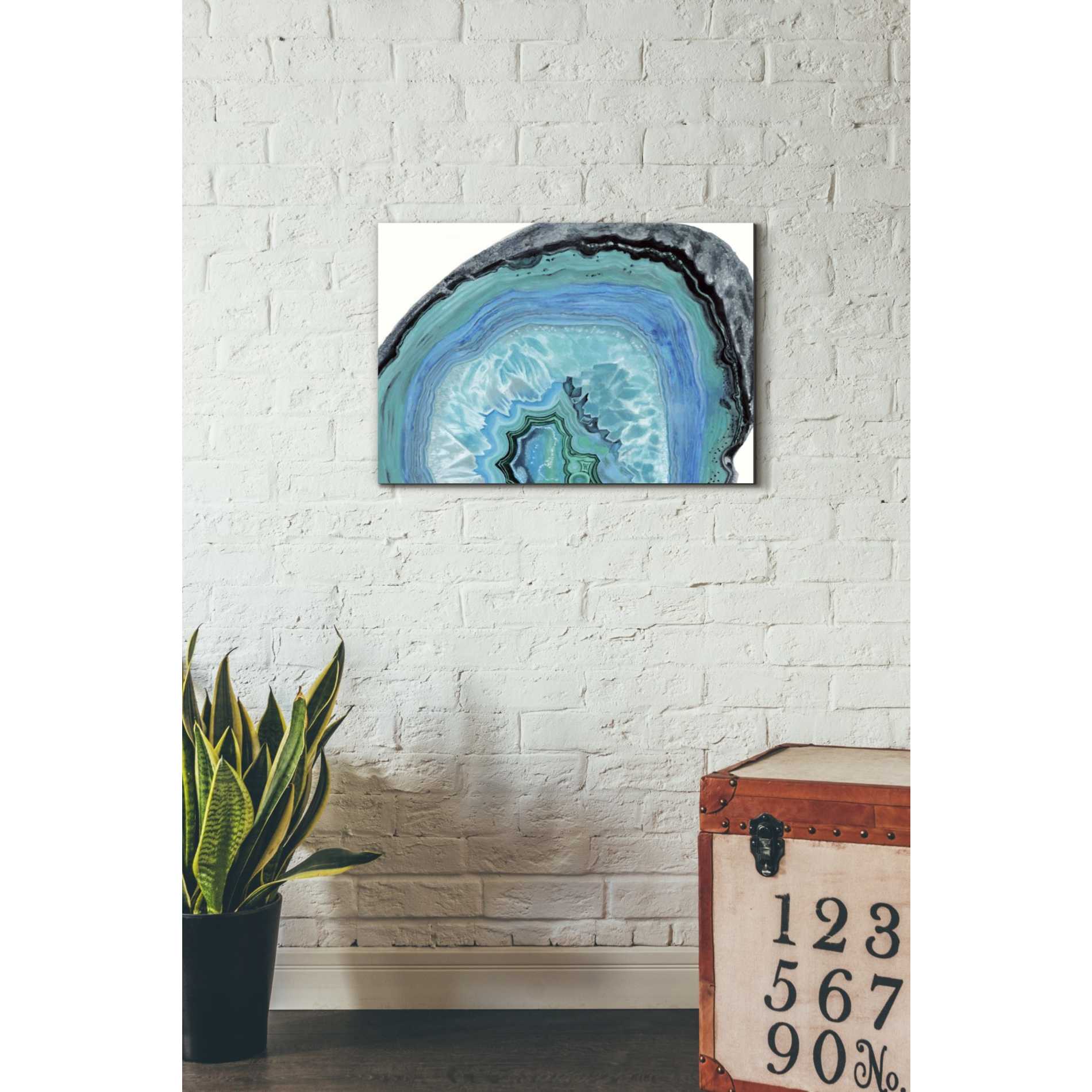 'Agate Studies II" by Naomi McCavitt. McCavitt Giclee Canvas Wall Art