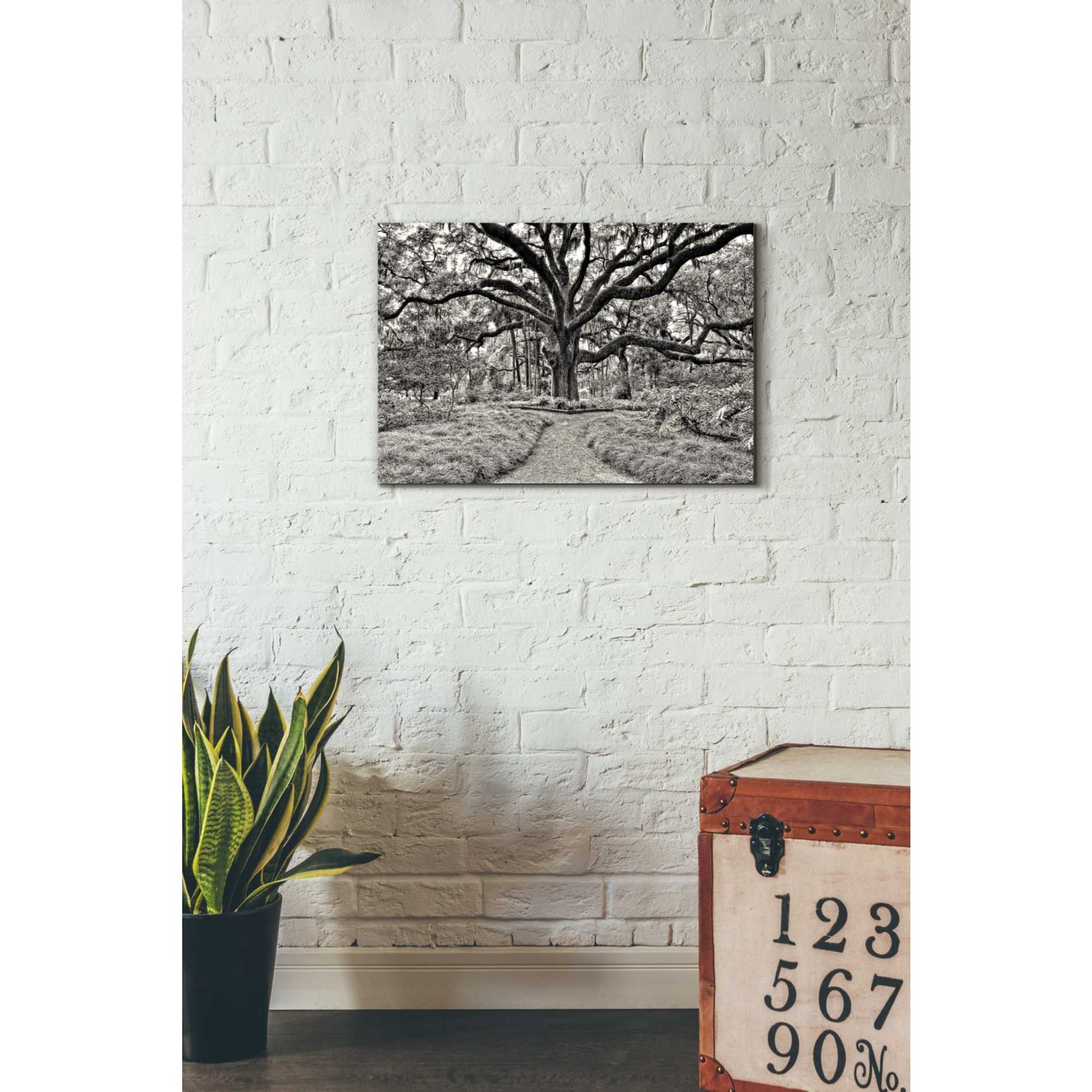 'Florida Tree' by PH  Burchett Giclee Canvas Wall Art