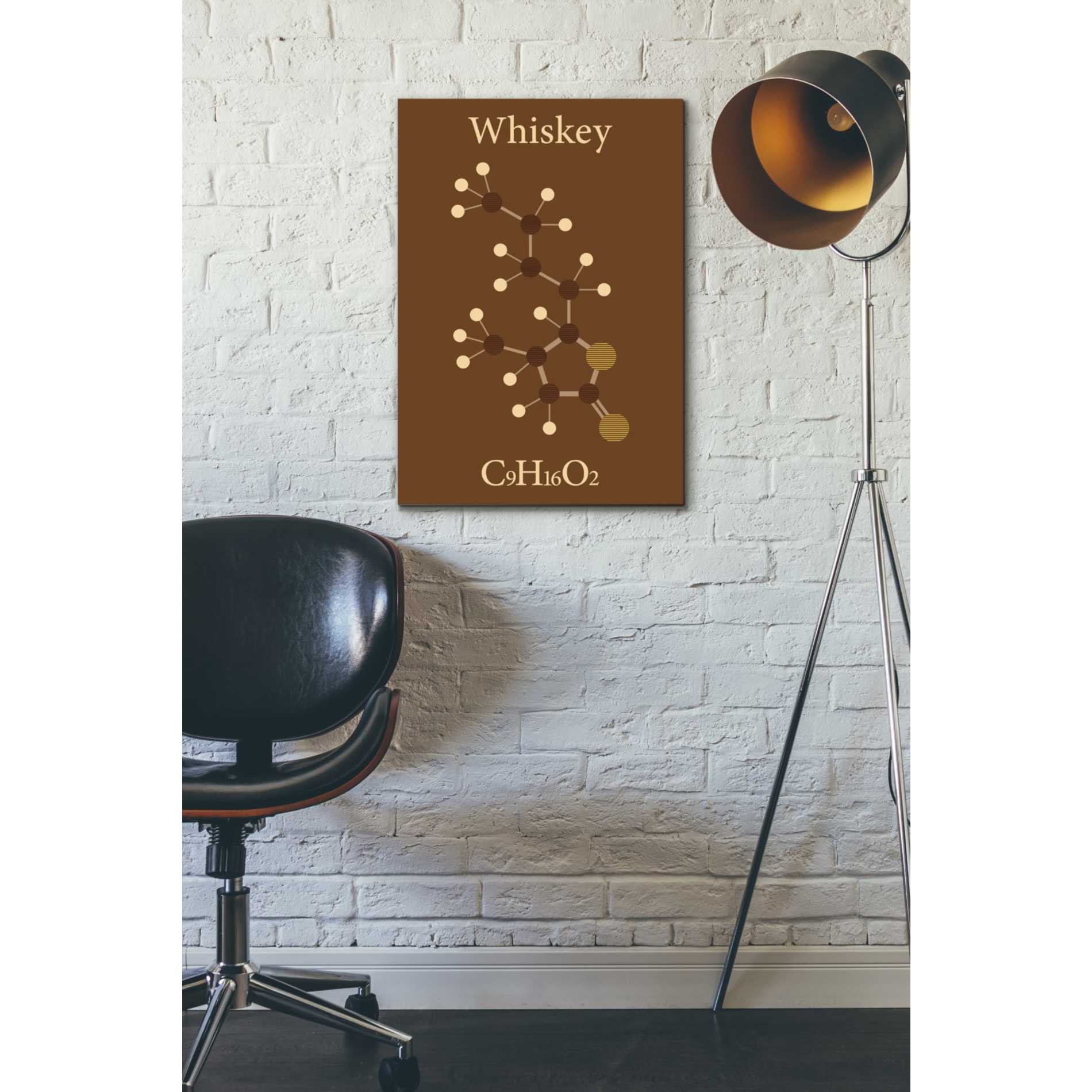 'Whiskey Molecule' Canvas Wall Art,18 x 26