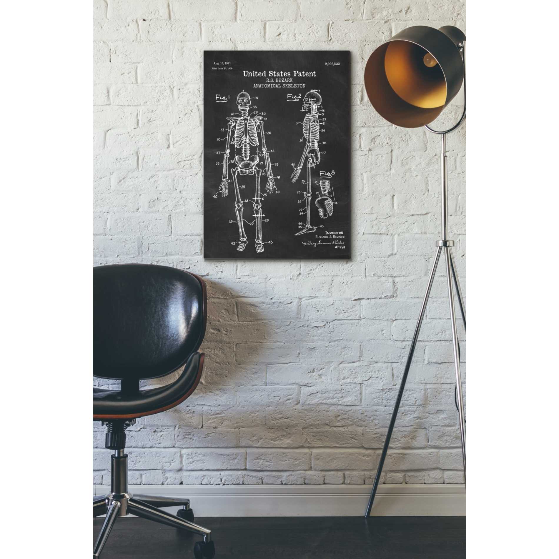 'Anatomical Skeleton Blueprint Patent Chalkboard' Canvas Wall Art,18 x 26