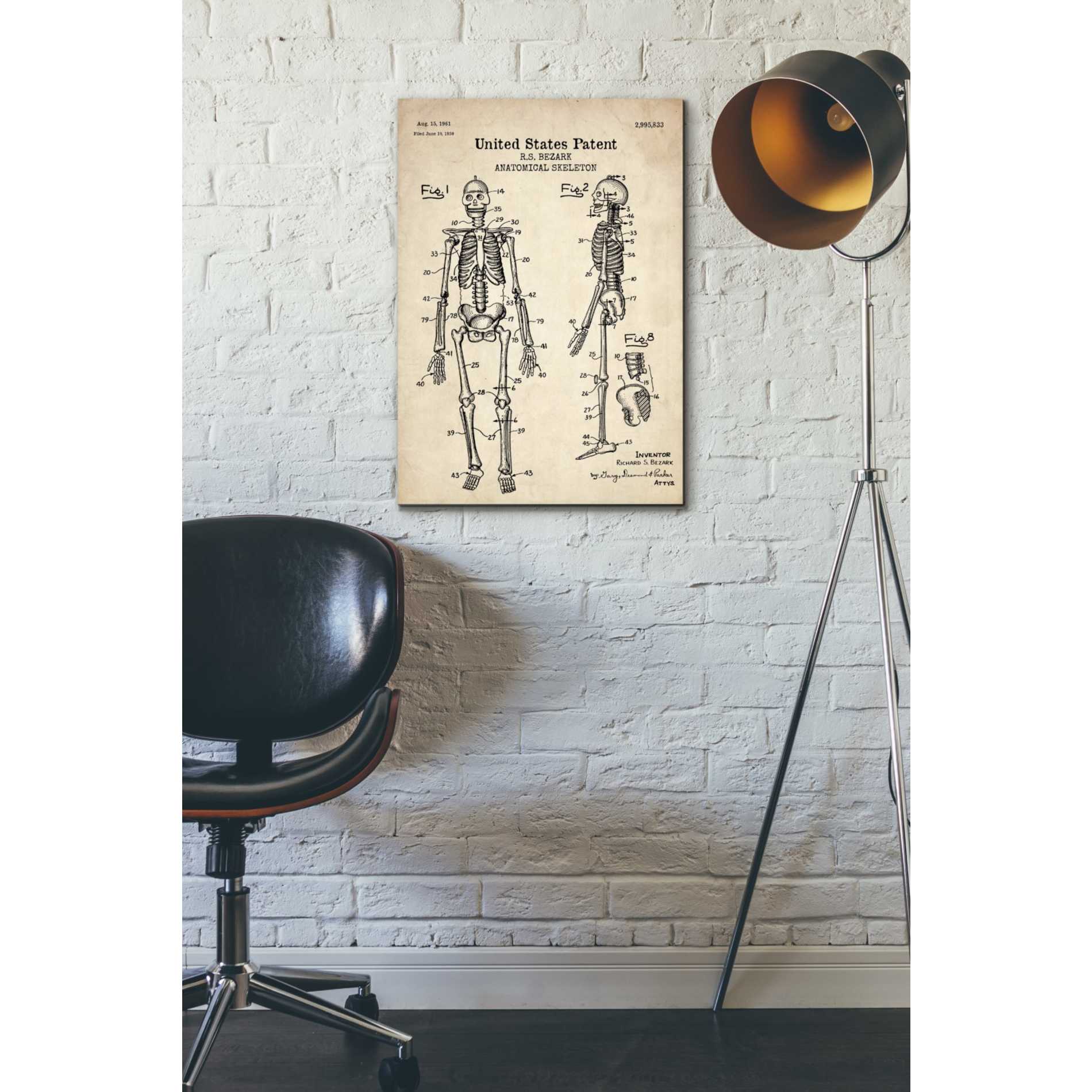 'Anatomical Skeleton Blueprint Patent Parchment' Canvas Wall Art,18 x 26