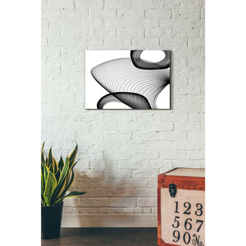 Image of 'Abstract Black and White 21-59' by Irena Orlov, Canvas Wall Art,26 x 18