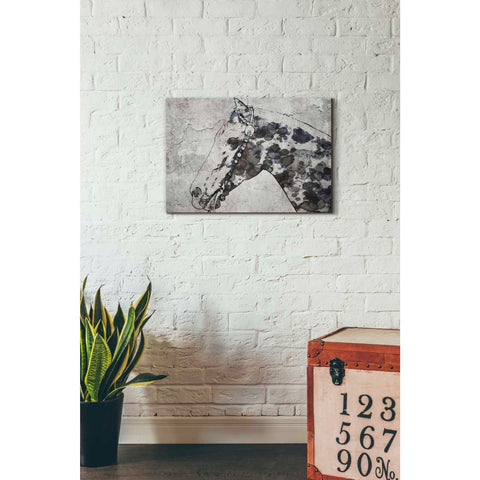 Image of 'Black Ghost Horse 2' by Irena Orlov, Canvas Wall Art,26 x 18