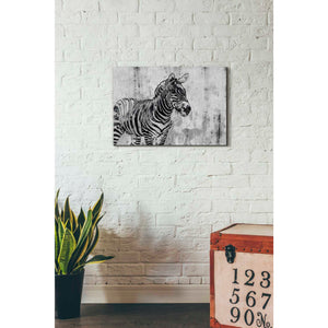 'Rustic Zebra 1' by Irena Orlov, Canvas Wall Art,26 x 18