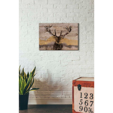 Image of 'White-Tailed Deer' by Irena Orlov, Canvas Wall Art,26 x 18