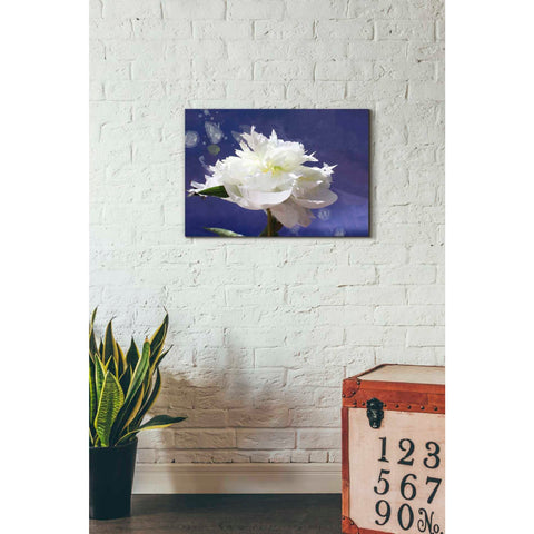 Image of 'White Peony-Scents of Heaven' by Irena Orlov, Canvas Wall Art,26 x 18