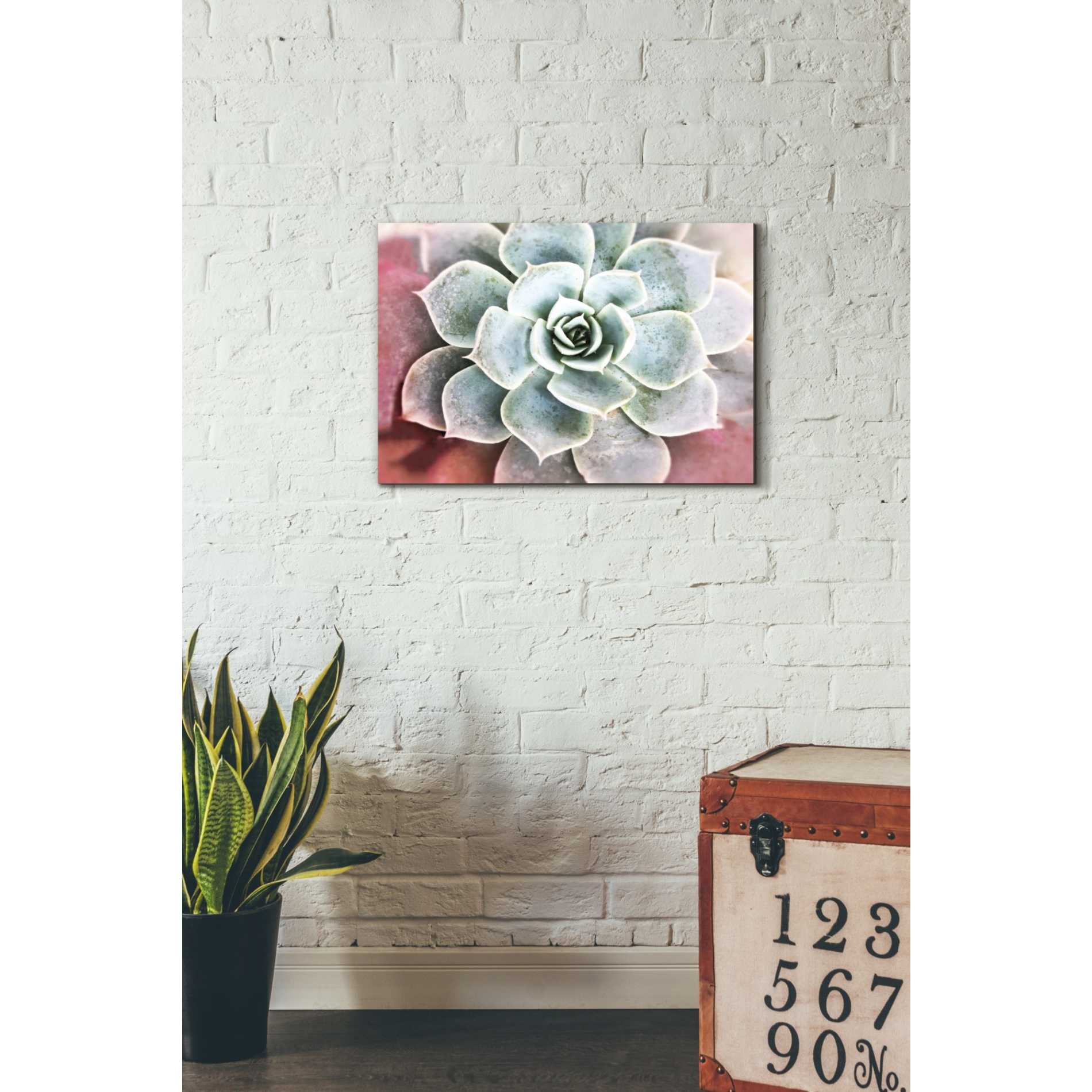 'Succulent Garden' by Irena Orlov, Canvas Wall Art,26 x 18