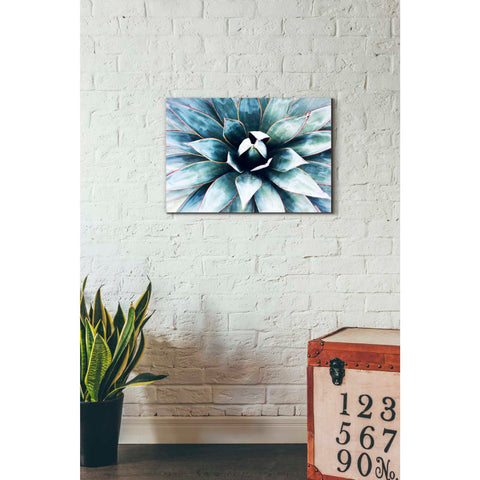 Image of 'Tropical Star' by Irena Orlov, Canvas Wall Art,26 x 18
