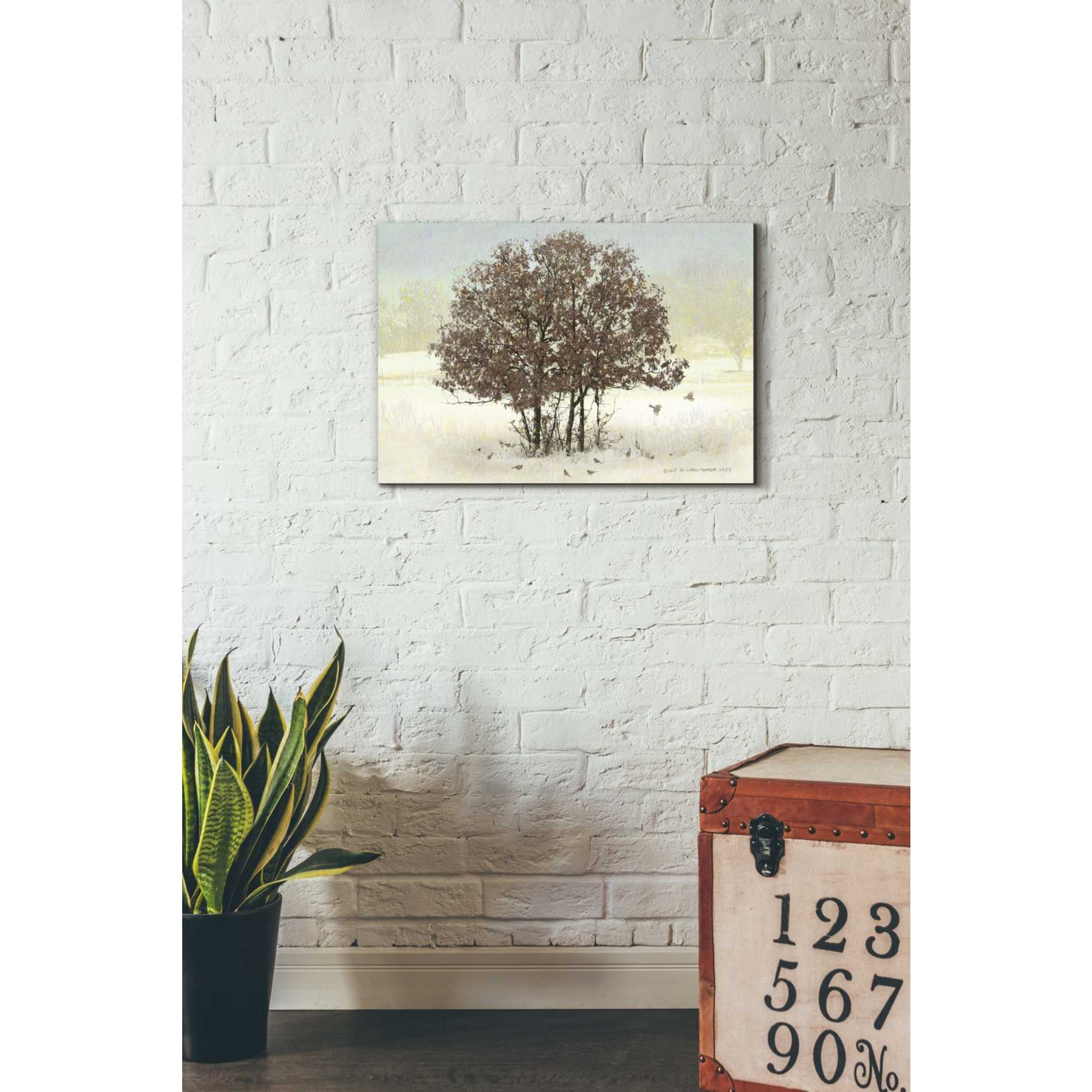 'Juncos and Oak' by Chris Vest, Giclee Canvas Wall Art