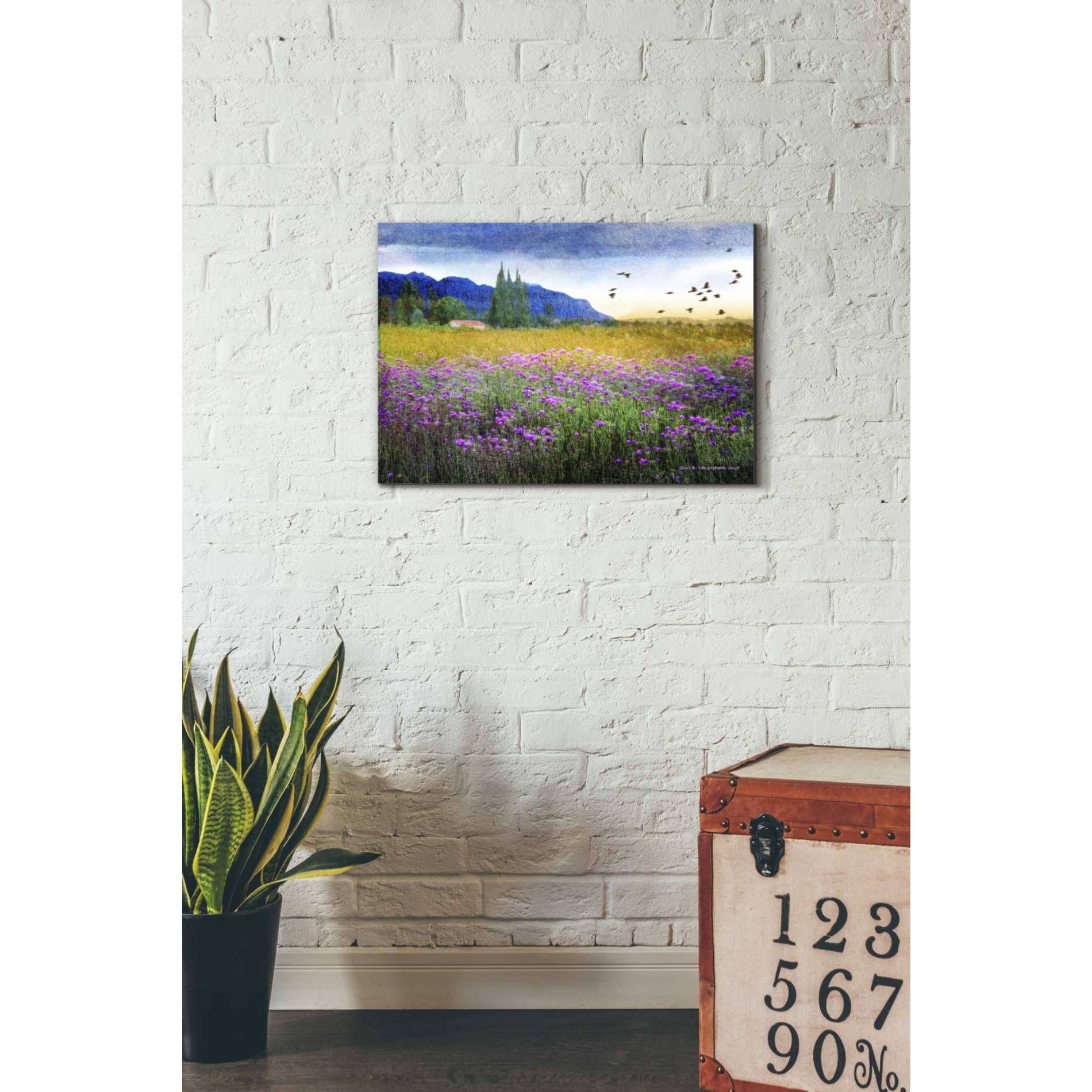 'Mesa Verde and Knapweed' by Chris Vest, Giclee Canvas Wall Art