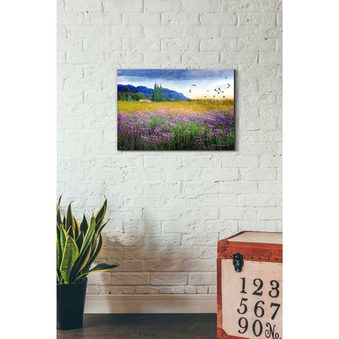 Image of 'Mesa Verde and Knapweed' by Chris Vest, Giclee Canvas Wall Art