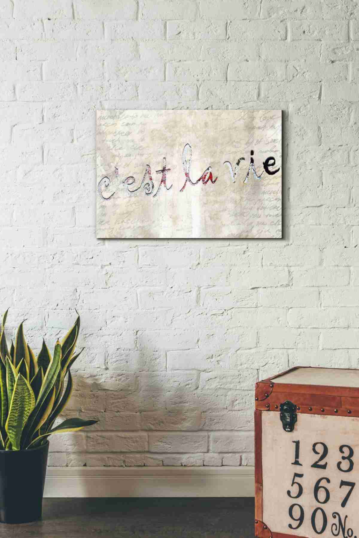 'C'est La Vie' by Karen Smith, Canvas Wall Art,26x18