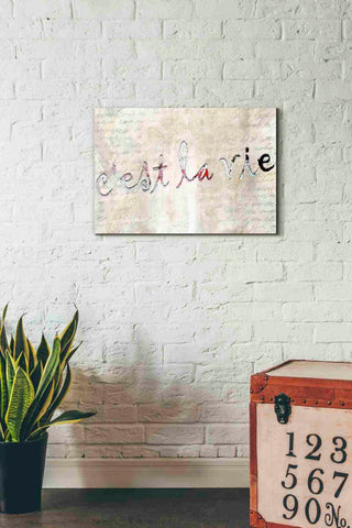Image of 'C'est La Vie' by Karen Smith, Canvas Wall Art,26x18