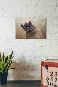 'Big Bear' by Karen Smith, Canvas Wall Art,26x18