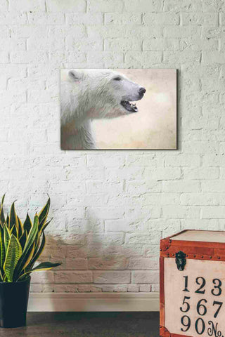 Image of 'Polar' by Karen Smith, Canvas Wall Art,26x18