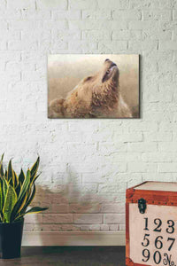 'Big Bear 1' by Karen Smith, Canvas Wall Art,26x18