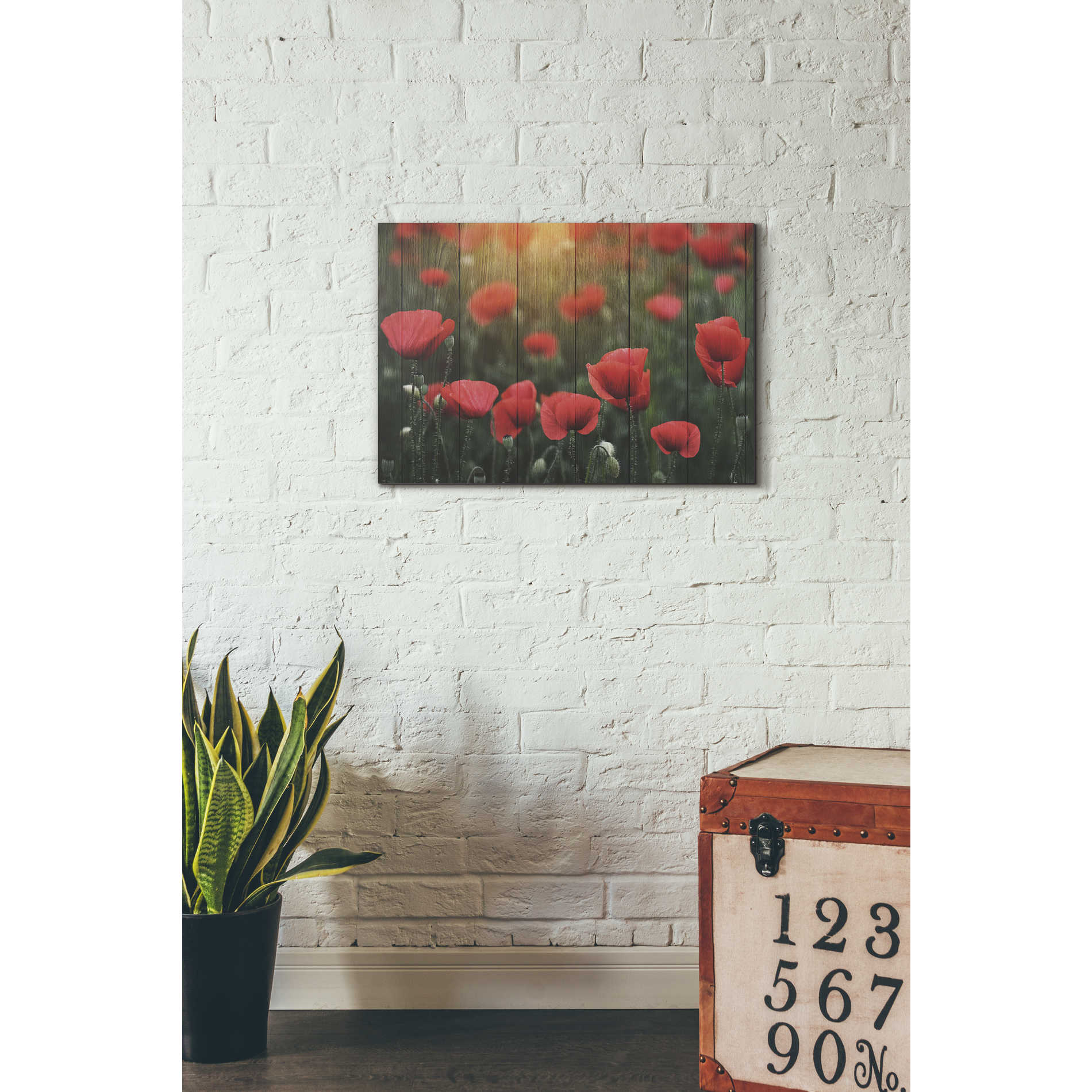 'Wood Series: Field of Poppies' Canvas Wall Art,18 x 26