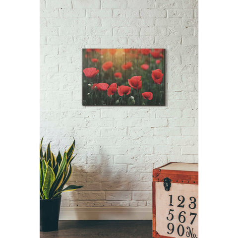 Image of 'Wood Series: Field of Poppies' Canvas Wall Art,18 x 26