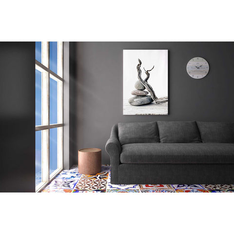 Image of 'Elemental Zen' by Elena Ray Canvas Wall Art,18 x 26
