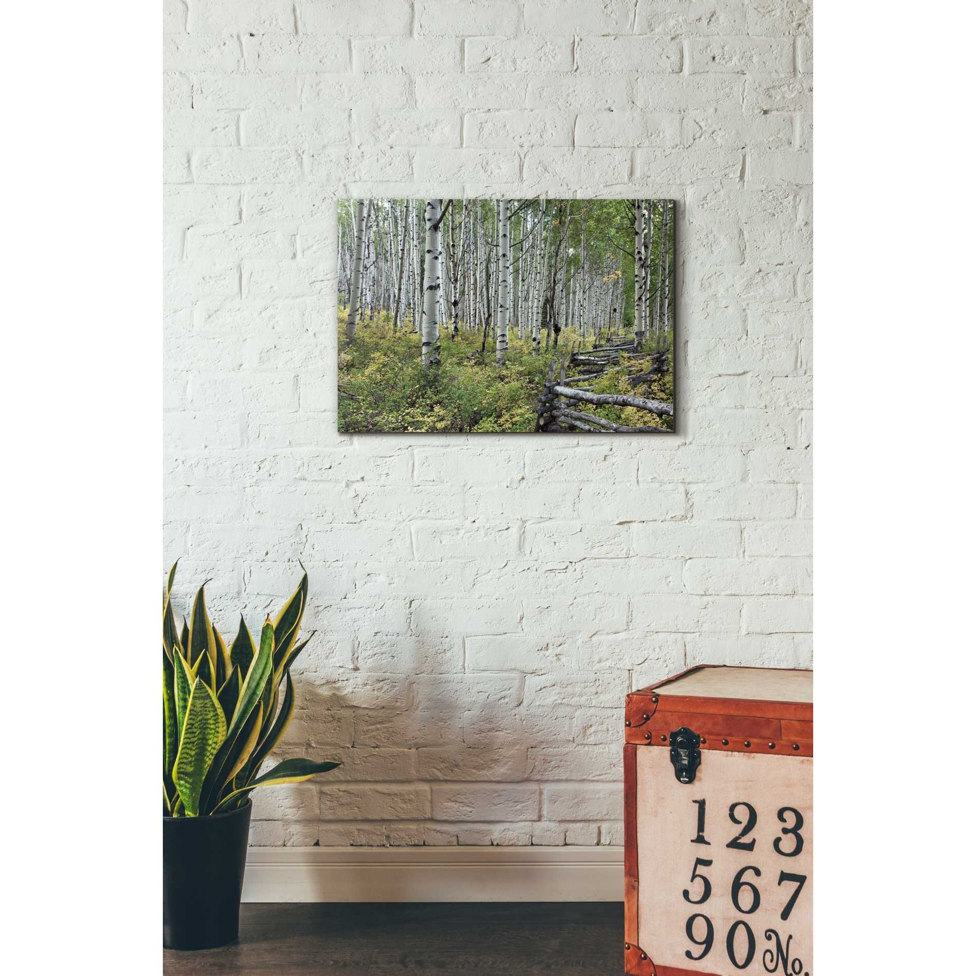 'Aspen Grove Rail Fence,' Canvas Wall Art,18 x 26