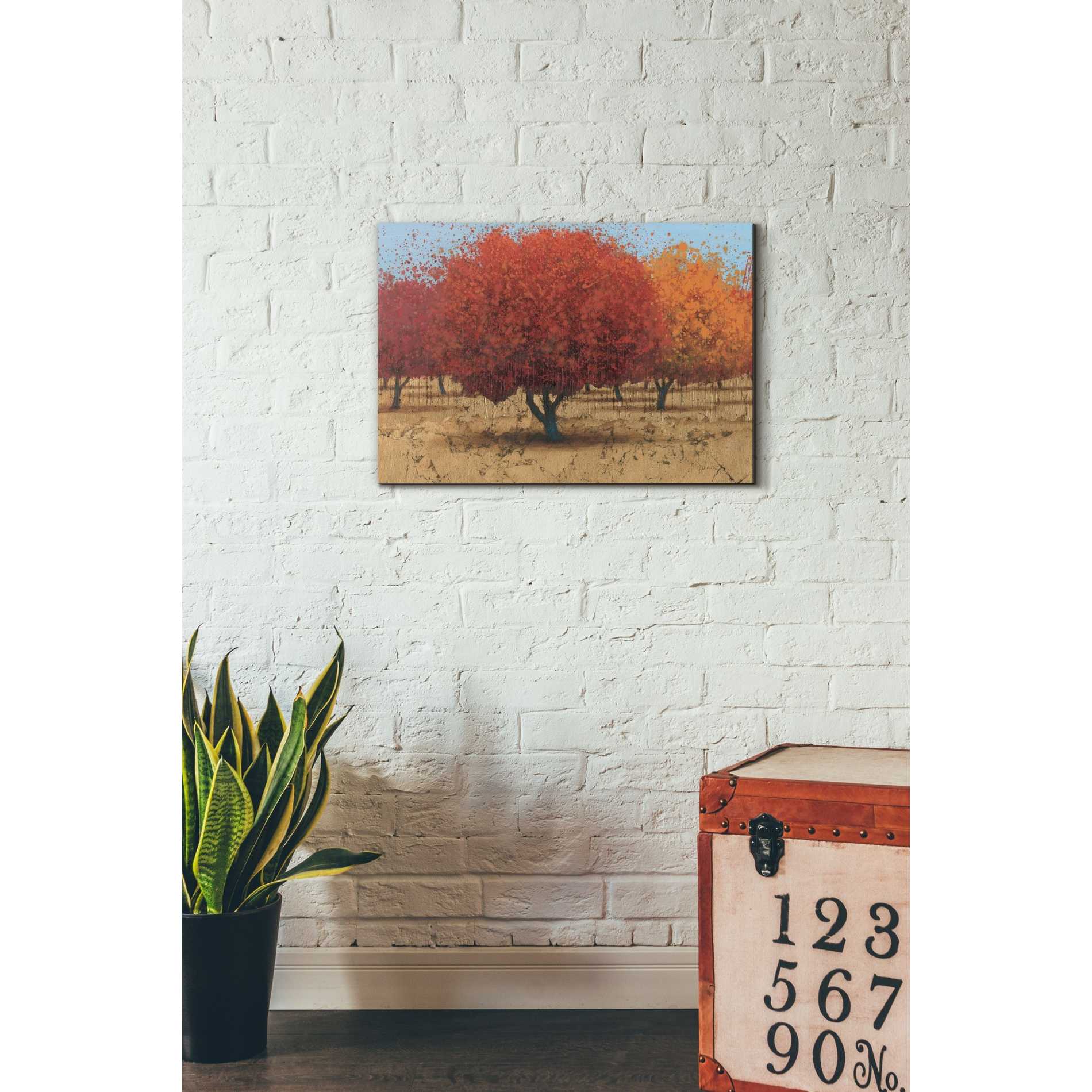 'Orange Trees II' by James Wiens, Canvas Wall Art,18 x 26