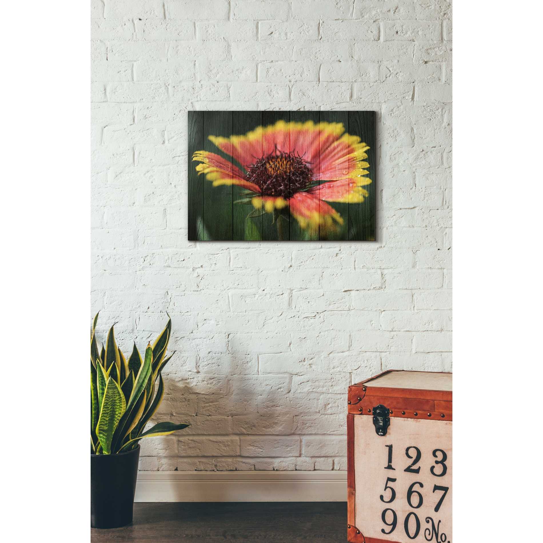 'Wood Series: Sunburst' Canvas Wall Art,18 x 26