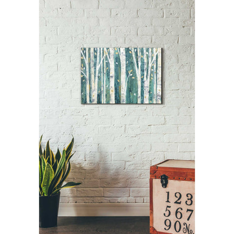 Image of 'Birches in Spring' by Julia Purinton, Canvas Wall Art,18 x 26