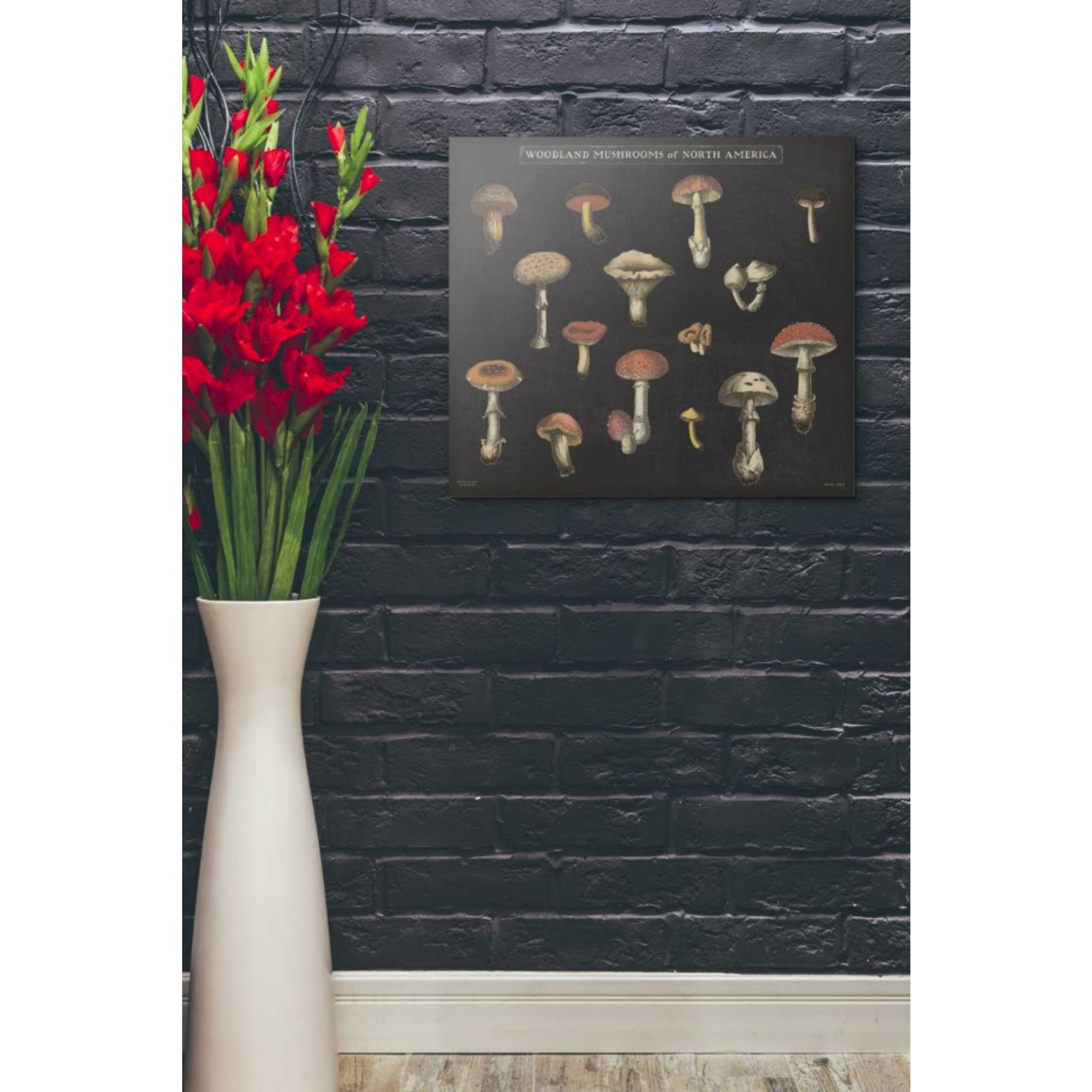 'Mushroom Chart I' by Wild Apple Portfolio, Canvas Wall Art,20 x 24