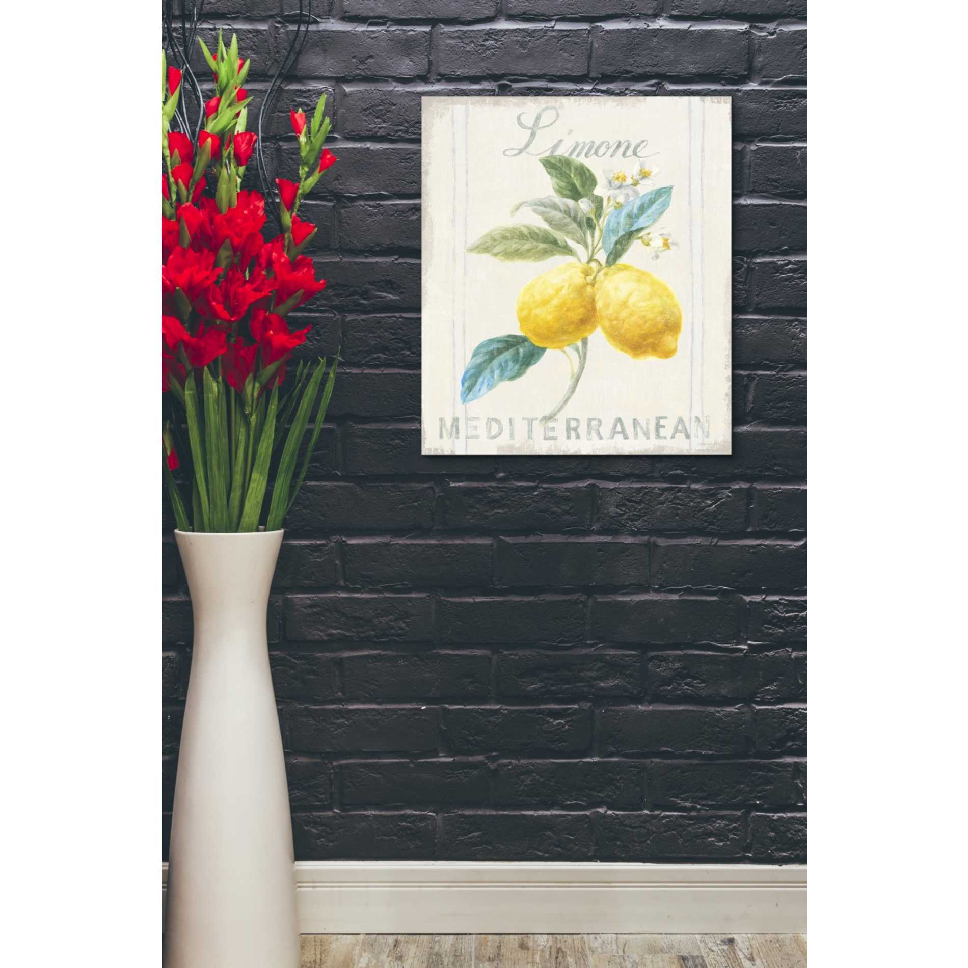 'Floursack Lemon III' by Danhui Nai, Canvas Wall Art,20 x 24