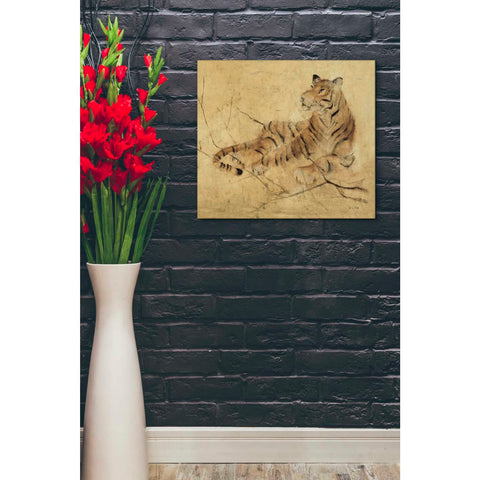 Image of 'Global Tiger Light Crop' by Cheri Blum, Canvas Wall Art,20 x 24
