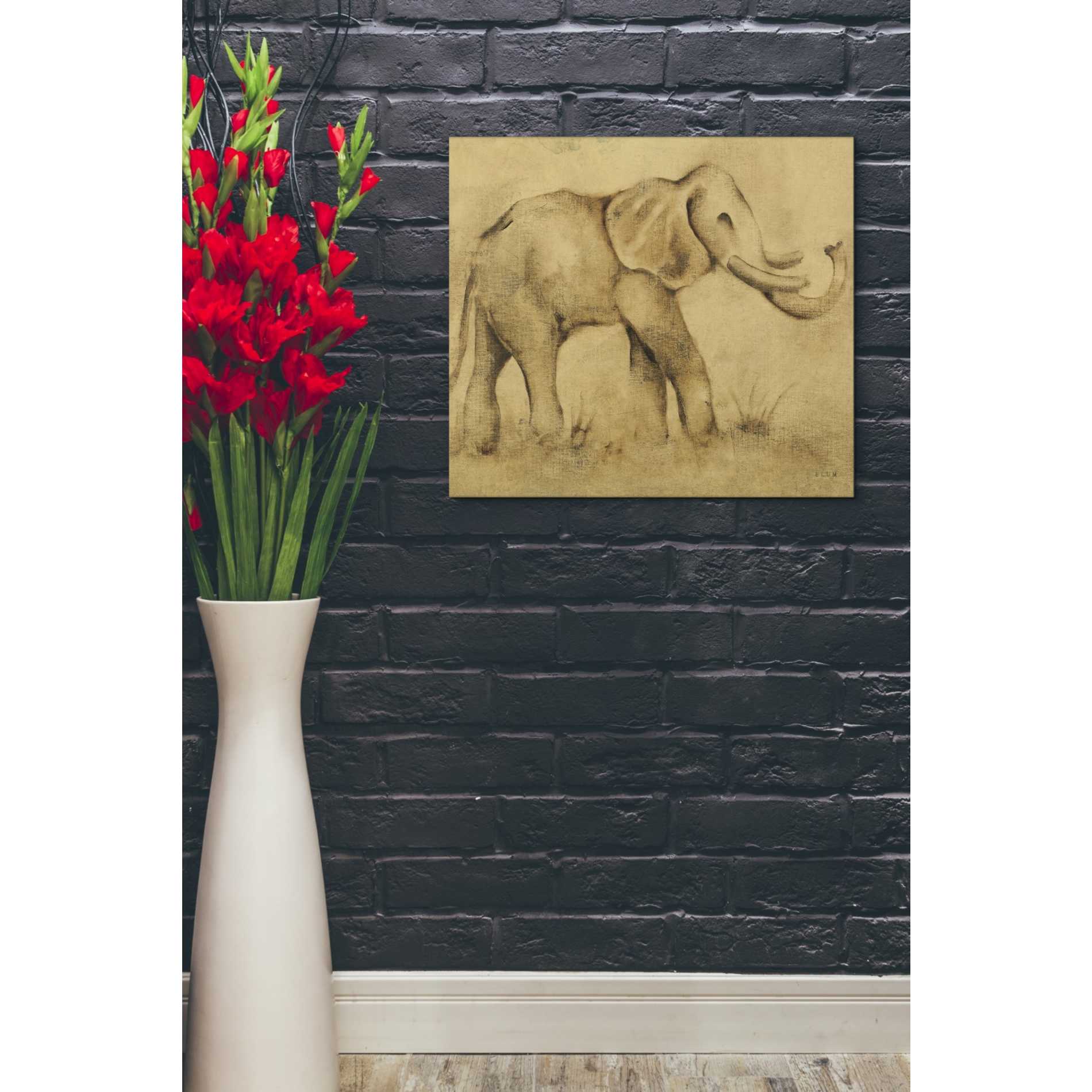 'Global Elephant Light Crop' by Cheri Blum, Canvas Wall Art,20 x 24