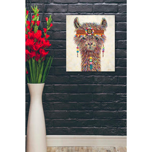 'Hippie Llama II' by Carolee Vitaletti Canvas Wall Art,20 x 24