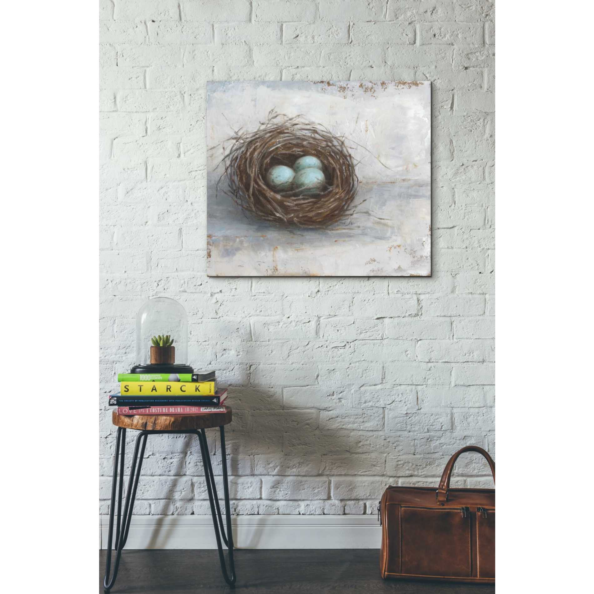 'Rustic Bird Nest I' by Ethan Harper Canvas Wall Art,24 x 20