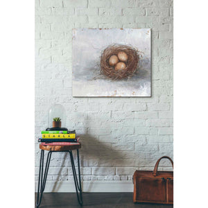 'Rustic Bird Nest II' by Ethan Harper Canvas Wall Art,24 x 20