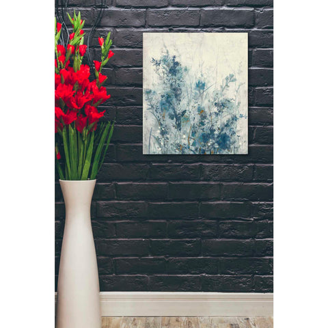 Image of 'Blue Spring I' by Tim OToole Canvas Wall Art,20 x 24