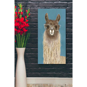 'Llama Specs IV' by Victoria Borges Canvas Wall Art,20 x 24