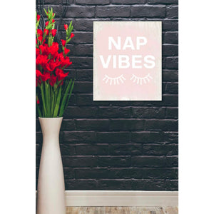'Nap Vibes' by Linda Woods, Canvas Wall Art,20 x 24